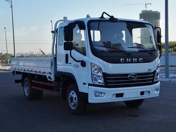 CNJ1041QDA33V载货汽车燃油公告图片2