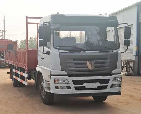 QCC1182D651N载货汽车燃油公告图片2