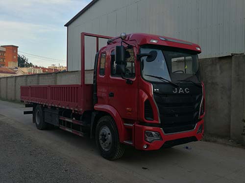 HFC1181P3K2A50S1V载货汽车燃油公告图片2
