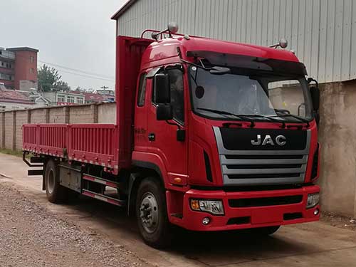 HFC1181P3K2A50S2HV载货汽车燃油公告图片2