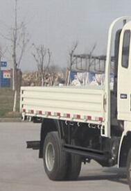 ZZ1047F341CE145载货汽车燃油公告扩展图片1