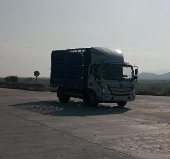 BJ5048CCY-FJ仓栅式运输车燃油公告图片2