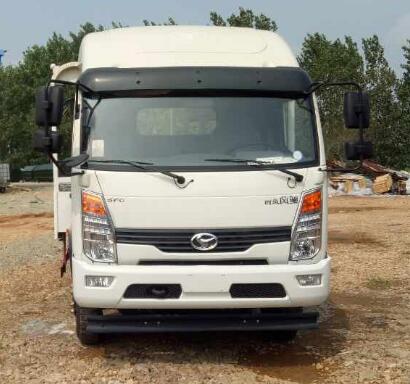 DLQ5040TPBSF5平板运输车燃油公告图片1