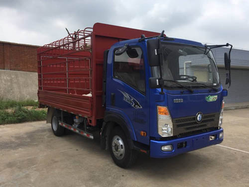CDW5040CCYHA1Q5仓栅式运输车燃油公告图片2