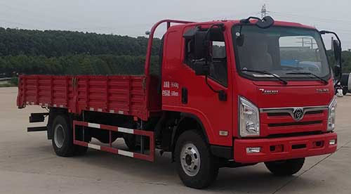 STQ1102L7Y1N5载货汽车燃油公告图片2