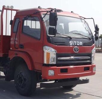 STQ1102L7Y1N5载货汽车燃油公告扩展图片1
