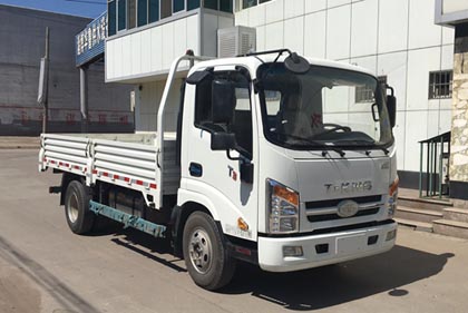 ZB1040JDD6V轻型货车燃油公告图片2