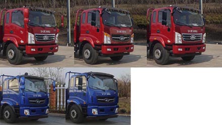 ZB1180UPG3V载货汽车燃油公告扩展图片1