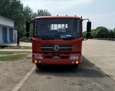 DFH1120BXV载货汽车燃油公告图片1