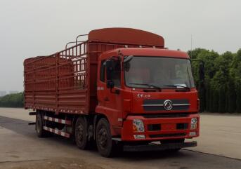 DFH5250CCYBXV仓栅式运输车燃油公告图片2