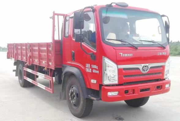 STQ1151L08Y2N5载货汽车燃油公告图片2