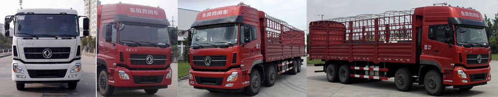DFH5310CCYA1仓栅式运输车燃油公告扩展图片1