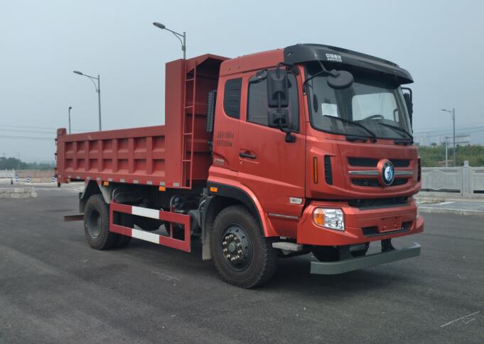 CDW3120A1N5自卸汽车燃油公告图片2