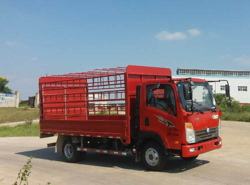 CDW5040CCYHA1Q5仓栅式运输车燃油公告图片2