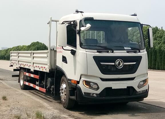 DFH1160E载货汽车燃油公告图片2