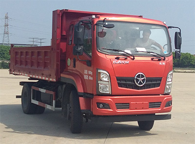 DYQ3162D5AB自卸汽车燃油公告图片2