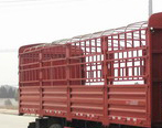 DFH5250CCYAXV仓栅式运输车燃油公告扩展图片2