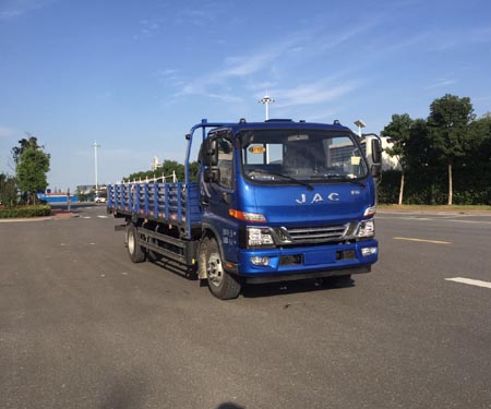 HFC1100P91K1D3V载货汽车燃油公告图片2