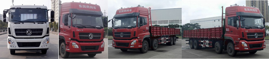DFH1310A1载货汽车燃油公告扩展图片1