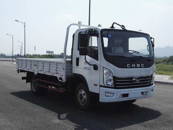 CNJ1043QDA33V载货汽车燃油公告图片2