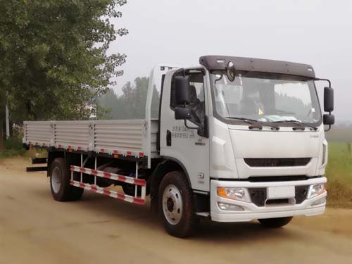 SH1132ZNDDWZ载货汽车燃油公告图片2