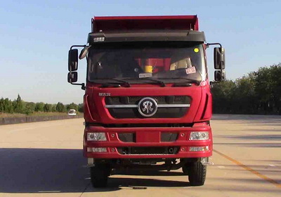 ZZ5313ZLJN4861E1N自卸式垃圾车燃油公告图片1