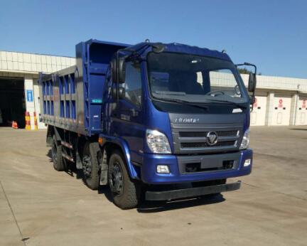 BJ3223DLPEB-FA自卸汽车燃油公告图片2
