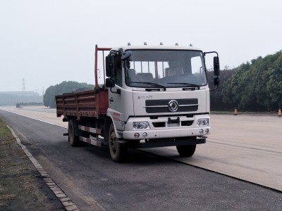 DFH1180BX3JV载货汽车燃油公告图片2