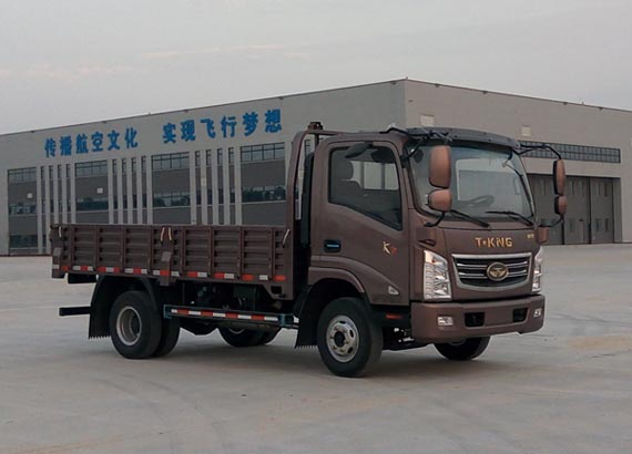 ZB1041UDD6V载货汽车燃油公告图片2