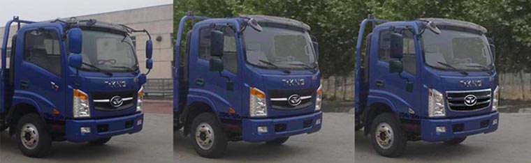 ZB1041UDD6V载货汽车燃油公告扩展图片1