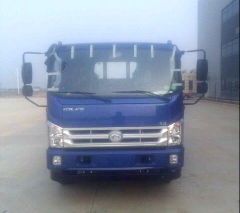 BJ1043V9PEA-GN载货汽车燃油公告图片1