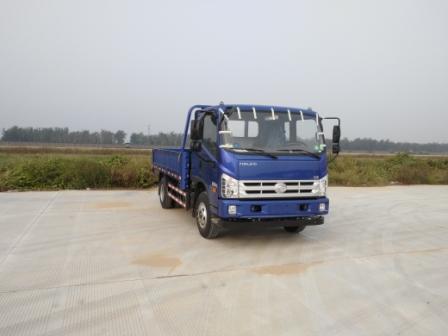 BJ1043V9PEA-GN载货汽车燃油公告图片2