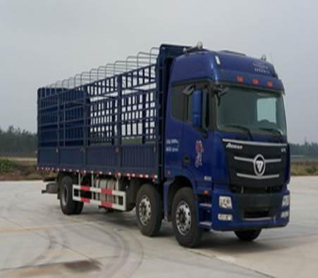 BJ5259CCY-AA仓栅式运输车燃油公告图片2