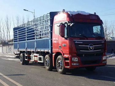 BJ5259CCY-AA仓栅式运输车燃油公告扩展图片1