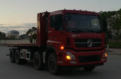 DFH3310A11平板自卸汽车燃油公告图片2