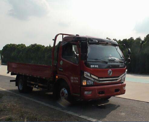 EQ1070S8BDB载货汽车燃油公告图片2