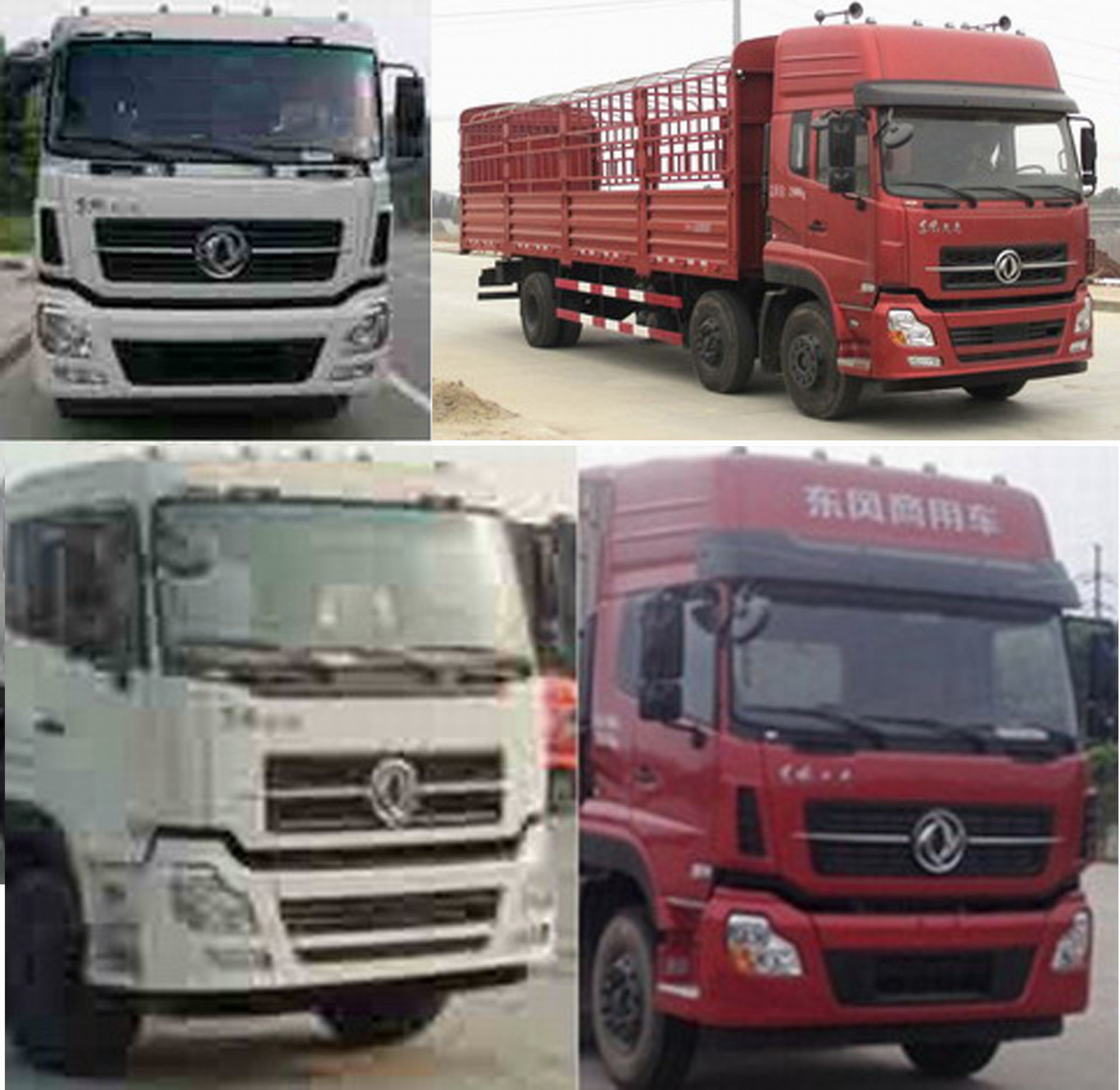 DFH5250CCYAXV仓栅式运输车燃油公告扩展图片1