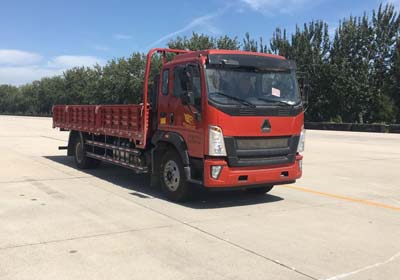 ZZ1167G471DE1A载货汽车燃油公告图片2