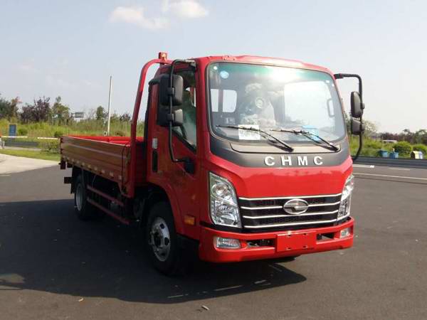 CNJ1041EDF33V载货汽车燃油公告图片2