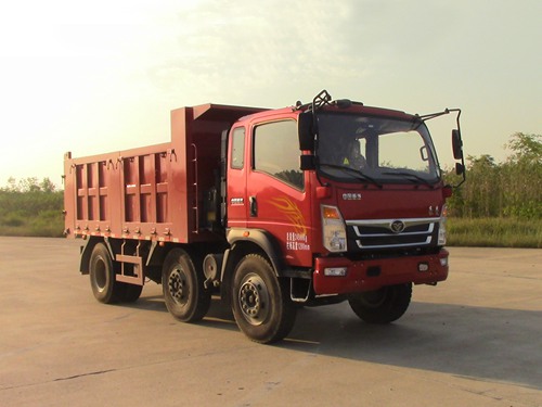 ZZ3258GC0EB1自卸汽车燃油公告图片2