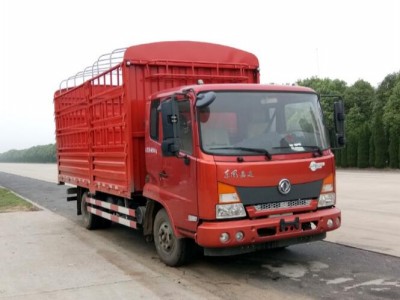 DFH5040CCYBX5仓栅式运输车燃油公告图片2