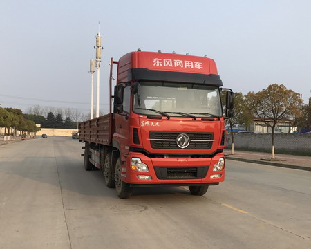 DFH1250AXV载货汽车燃油公告图片2