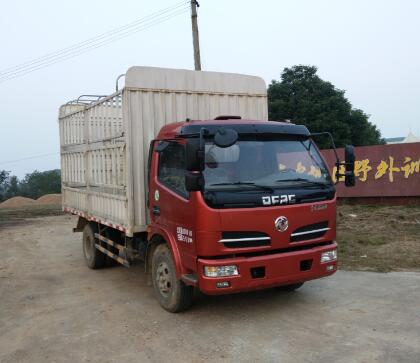 EQ5041CCY8GDFAC仓栅式运输车燃油公告图片2