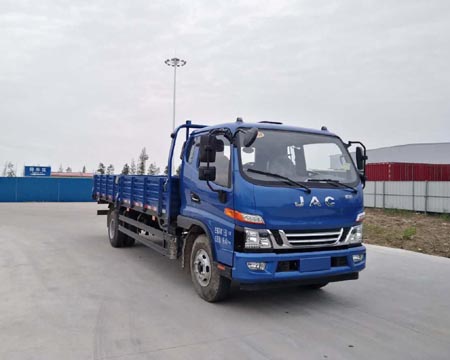 HFC1100P91K1D3V载货汽车燃油公告图片2