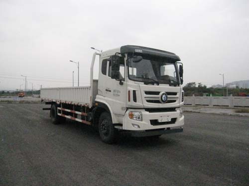 CDW1161A1N5L载货汽车燃油公告图片2
