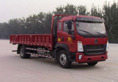 ZZ1167G521DE1A载货汽车燃油公告图片2