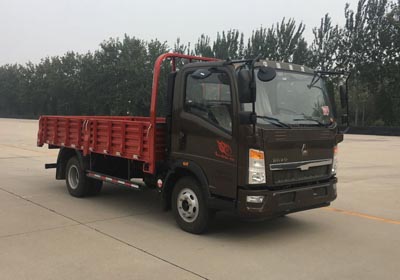 ZZ1047G3315E145载货汽车燃油公告图片2