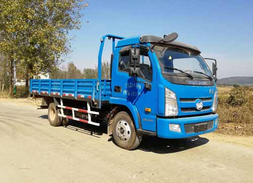 SH1042KFDCWZ7载货汽车燃油公告图片2