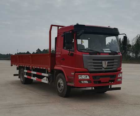 QCC1182D651N载货汽车燃油公告图片2