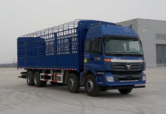 BJ5313CCY-AA仓栅式运输车燃油公告图片2